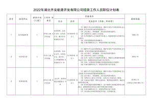 2022年湖北齐安能源开发有限公司招录工作人员职位计划表.docx