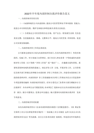 2022年半年度内部控制自我评价报告范文.docx