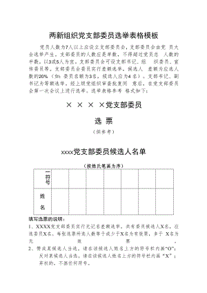 两新组织党支部委员选举表格模板.docx