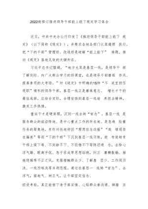 2022新修订推进领导干部能上能下规定学习体会3篇.docx