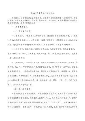 乡2022年重点工作汇报总结.docx