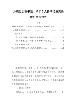 乡镇党委副书记、镇长个人任期经济责任履行情况报告.docx