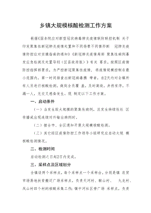 乡镇大规模核酸检测工作方案.docx