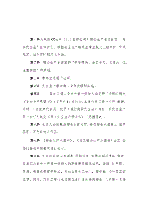 2022《公司安全生产承诺管理办法》.docx