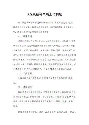XX镇秸秆禁烧工作制度.docx