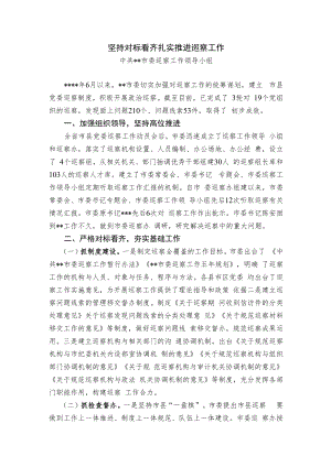 【经验交流材料】坚持对标看齐 扎实推进巡察工作.docx