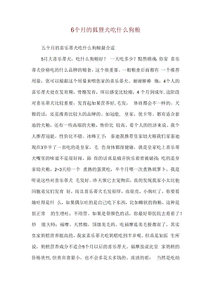 6个月的狐狸犬吃什么狗粮.docx