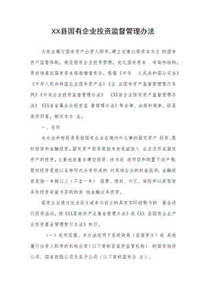 XX县国有企业投资监督管理办法.docx