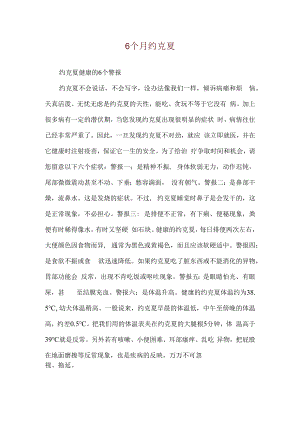 6个月约克夏.docx