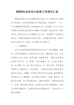 XX镇安全防范大检查工作情况汇报.docx