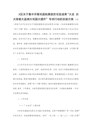 X区关于集中开展巩固拓展脱贫攻坚成果“大走访大排查大监测大巩固大提升”专项行动的实施方案.docx
