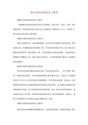 50天的阿拉斯加怎么喂养.docx