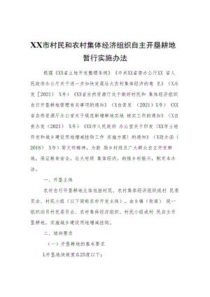 XX市村民和农村集体经济组织自主开垦耕地暂行实施办法.docx