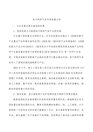 电子特种气体市场容量分析.docx