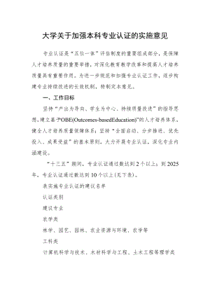 大学关于加强本科专业认证的实施意见.docx