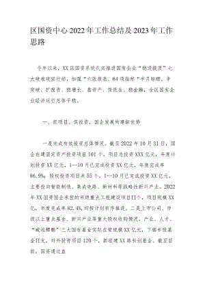 区国资中心2022年工作总结及2023年工作思路.docx