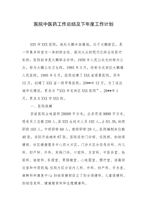 医院中医药工作总结及下年度工作计划.docx