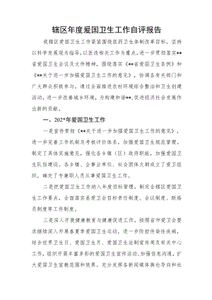 辖区年度爱国卫生工作自评报告.docx