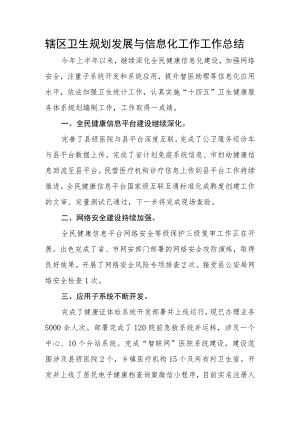 辖区卫生规划发展与信息化工作工作总结.docx