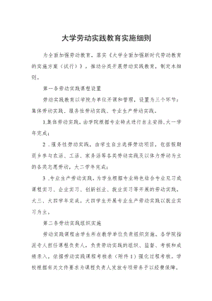 大学劳动实践教育实施细则.docx