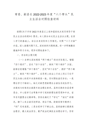 常委、副县长2022-2023年度“六个带头”民主生活会对照检查材料.docx