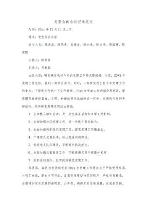 支委会的会议记录范文.docx
