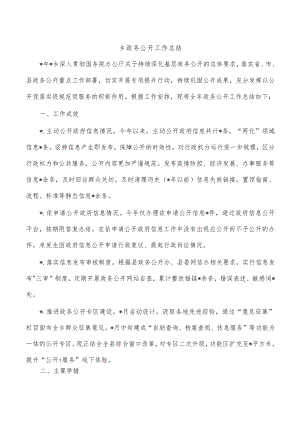 乡政务公开工作总结.docx