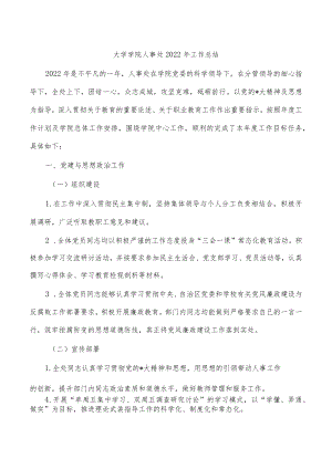 大学学院人事处2022年工作总结.docx