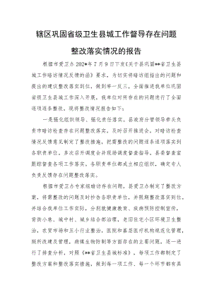 辖区巩固省级卫生县城工作督导存在问题整改落实情况的报告.docx