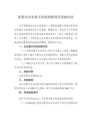 某某市企业重大科技创新项目奖励办法.docx
