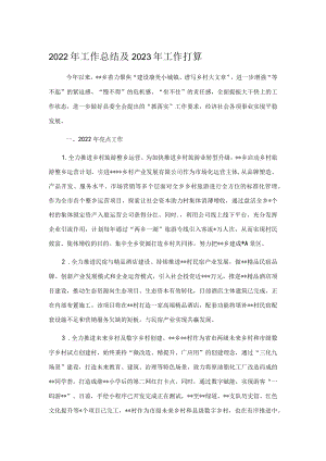 2022年工作总结及2023年工作打算.docx