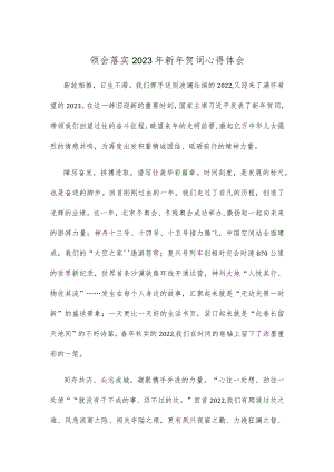 领会落实2023年新年贺词心得体会.docx