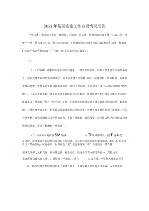 2022年基层党建工作自查情况报告.docx
