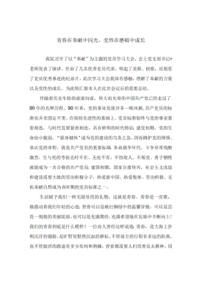 “青春在奉献中闪光党性在磨砺中成长”观后感1.docx