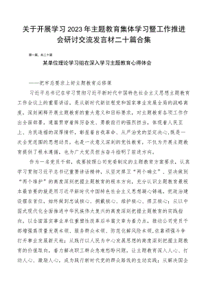 关于开展学习2023年主题教育集体学习暨工作推进会研讨交流发言材二十篇合集.docx