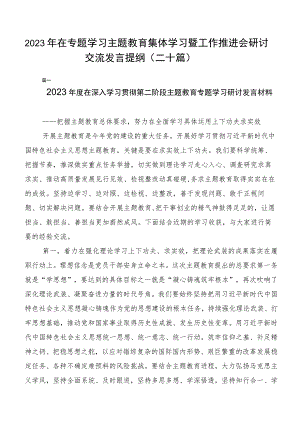 2023年在专题学习主题教育集体学习暨工作推进会研讨交流发言提纲（二十篇）.docx