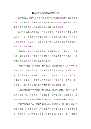 2023年专题研讨发言材料范文二.docx