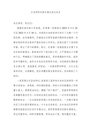 分包领导巡察反馈会表态发言.docx