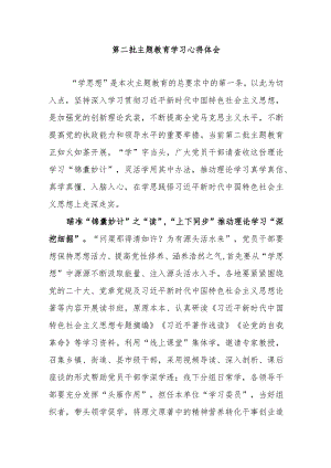 第二批主题教育学习心得体会3篇.docx