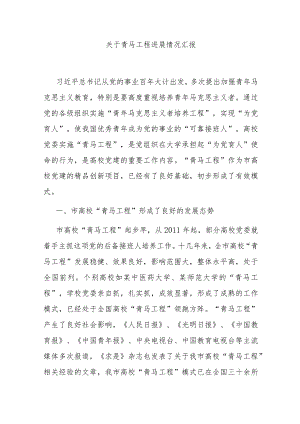 关于青马工程进展情况汇报.docx
