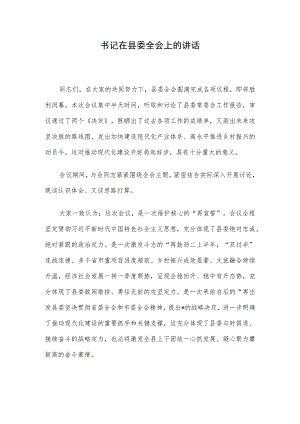 书记在县委全会上的讲话.docx