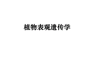 植物表观遗传学.ppt