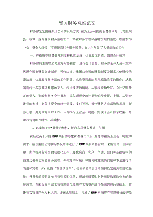 实习财务总结范文.docx