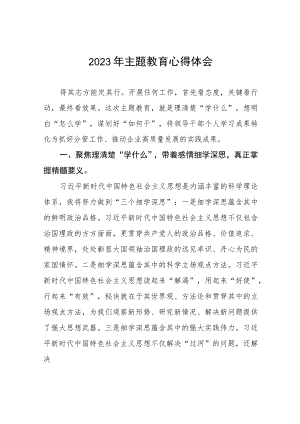 (六篇)2023年集团公司党委书记关于主题教育心得体会.docx