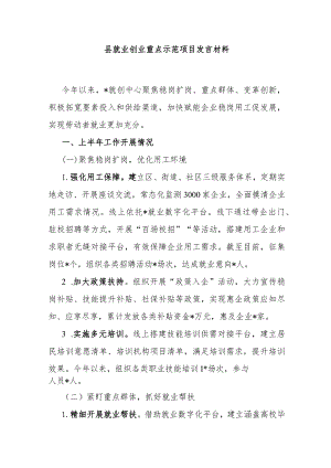 县就业创业重点示范项目发言材料.docx