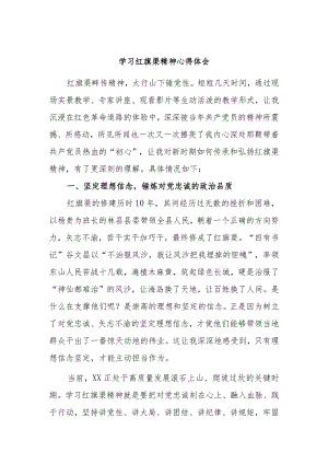 学习红旗渠精神心得体会 .docx