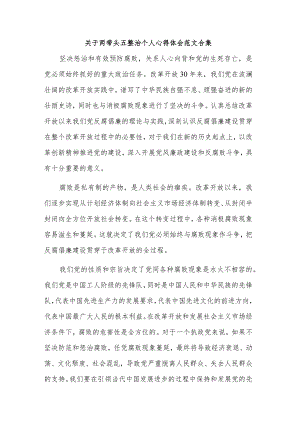 关于两带头五整治个人心得体会范文合集.docx