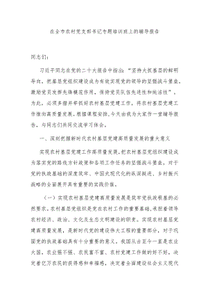 在全市农村党支部书记专题培训班上的辅导报告.docx