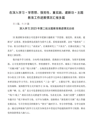 在深入学习“学思想、强党性、重实践、建新功”主题教育工作进展情况汇报多篇.docx