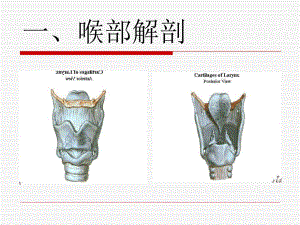 气管插管名师编辑PPT课件.ppt